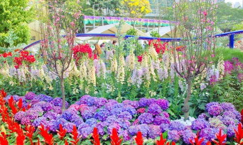 Victoria Park