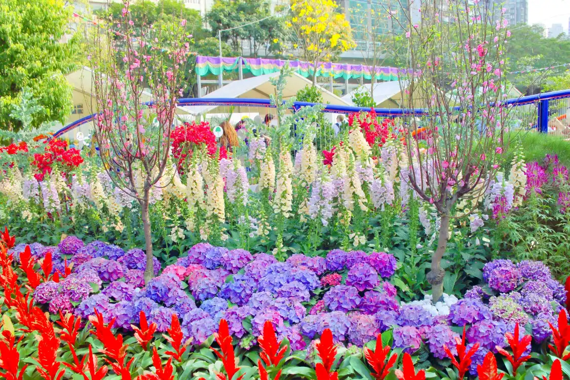 Hotels near Victoria Park