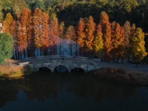 South China Botanical Garden, CAS