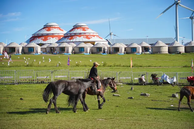 Horse Riding in Ulanqab