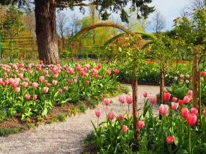 Fondation Claude Monet