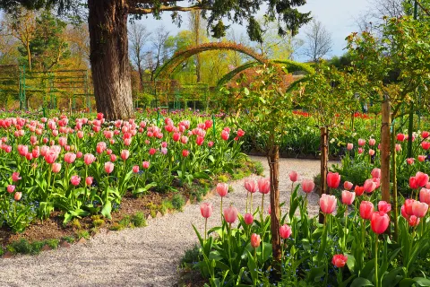 Haus und Garten Claude Monet