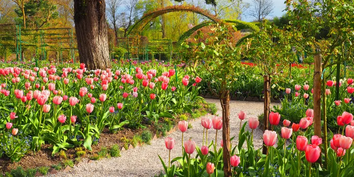Fondazione Claude Monet image 0