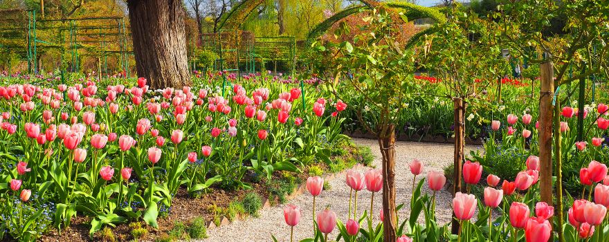 Fondation Monet in Giverny