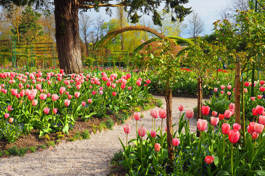 Fondation Claude Monet