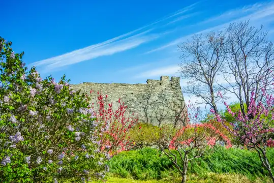 鄰近明城牆遺址公園的酒店