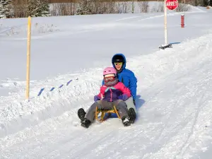 Luge