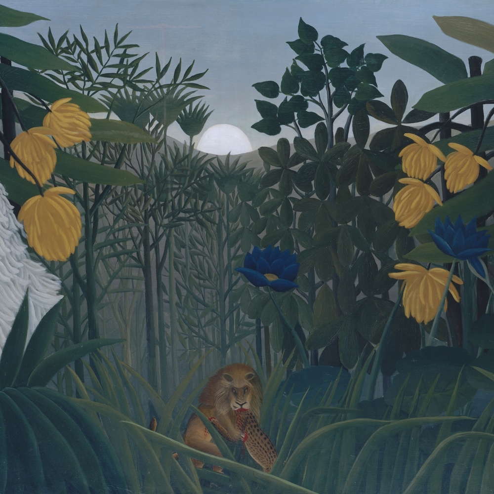Henri Rousseau: A Painter’s Secrets | Barnes Foundation