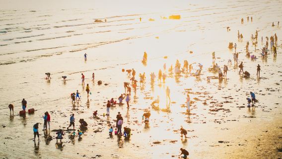 Beach Treasure Hunting in Fangchenggang
