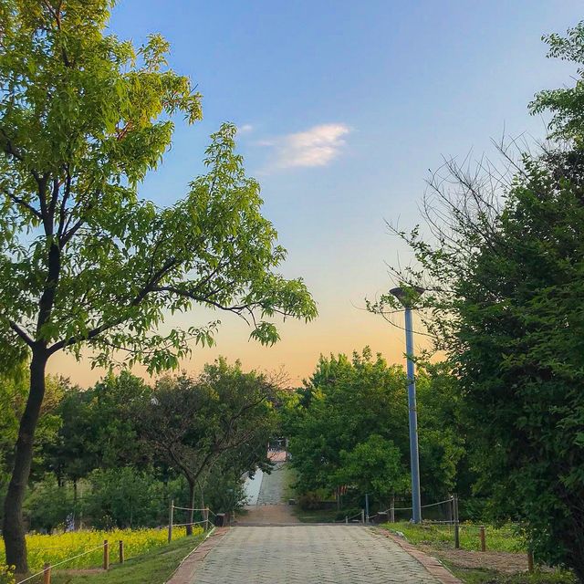 꽃보러 서울숲가자٩꒰｡•◡•｡꒱۶