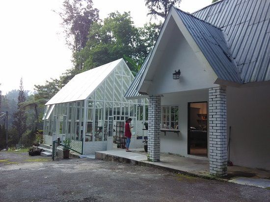 Glasshouse Fraser S Hill Travel Guidebook Must Visit Attractions In Bukit Fraser Glasshouse Fraser S Hill Nearby Recommendation Trip Com
