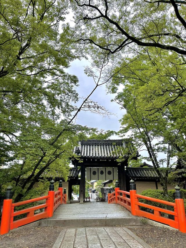 新緑の今宮神社で森林浴