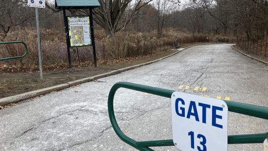 High Park Dog Off Leash Area