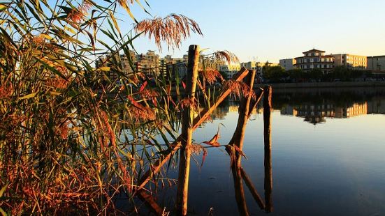 盤錦湖濱公園採用傳統造園手法，堆山砌石，建有各式亭閣，輔有寬