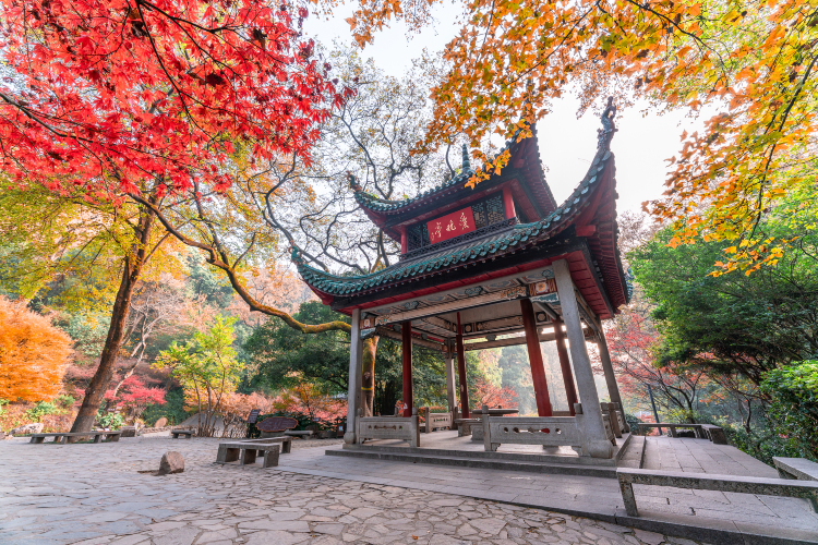 Autumn-Admiring Pavilion