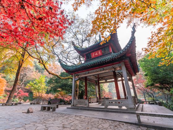 Autumn-Admiring Pavilion