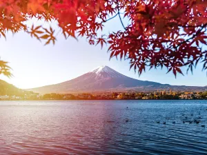 Kawaguchiko Tenjoyama Park