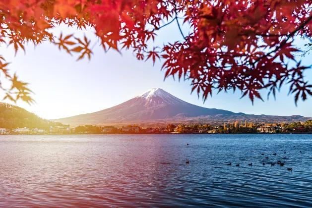 富士河口湖の4つ星ホテル