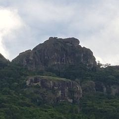 ビティ レブ島 ガーデン オブ ザ スリーピング ジャイアント 評判 案内 トリップドットコム ビティ レブ島 ガーデン オブ ザ スリーピング ジャイアント 評判 案内 トリップドットコム