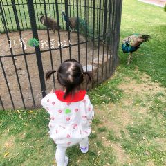 The Anandi Hotel and Spa Shanghai·mijingxicantingzizhucan User Photo