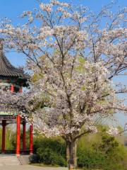 青龍湖風景区