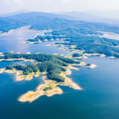 Для бизнес-поездок Отели в г. Синъи