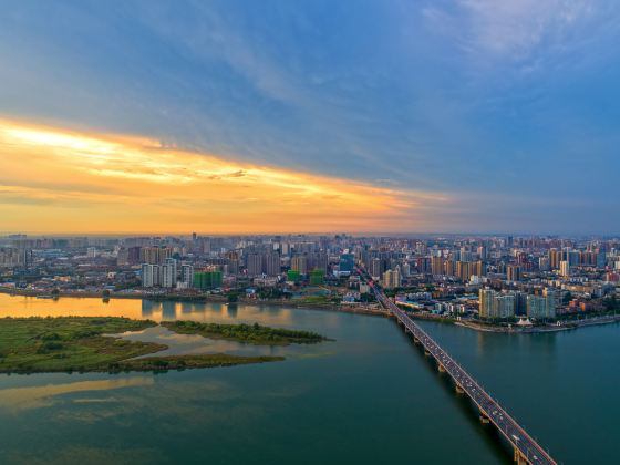 天空公園