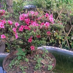 重庆聚义亭私人火锅 User Photo