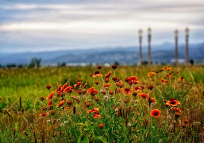 Chilechuan Grassland Cultural Tourist Area