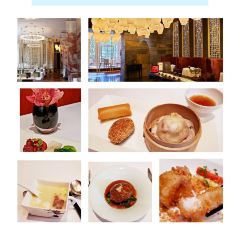 Yong Yi Ting User Photo