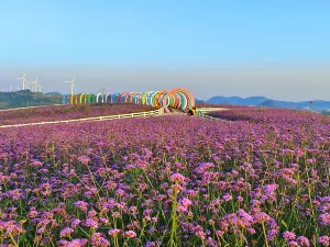 화시 고포 운정 꽃바다