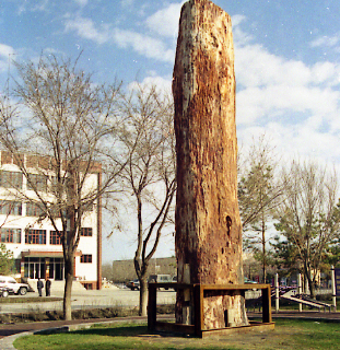 Qitai Silicified Wood Park