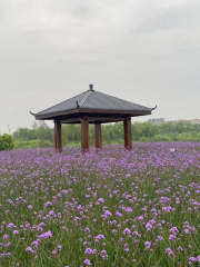 八份村濕地公園