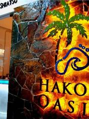 Hakod Oasis Spa