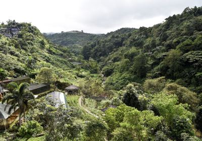 コルディリラ管理地区