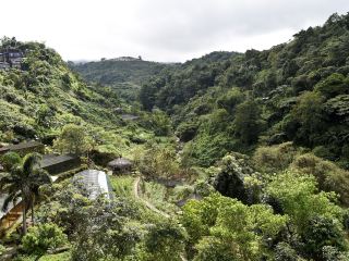 バギオ日帰り旅行プラン