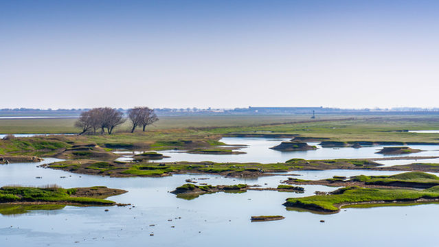 East Dongting Lake National Nature Reserve