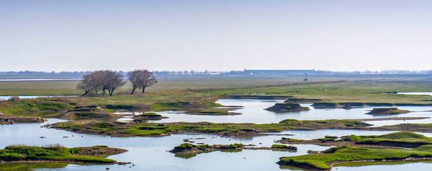 East Dongting Lake National Nature Reserve