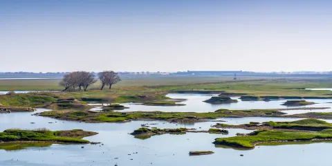 東洞庭湖國家級自然保護區