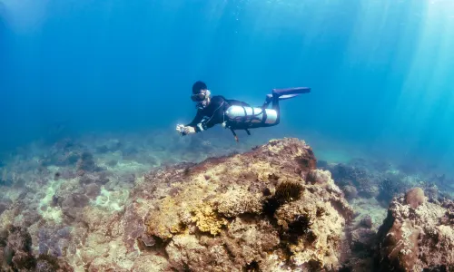 Scuba Diving in Wanning