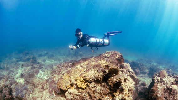 Scuba Diving in Wanning