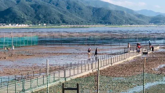 黃避嶴·灘塗樂園