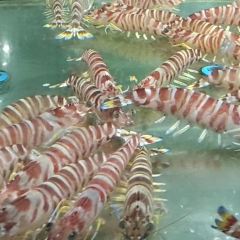 JUXIAN PAVILION FOOD CITY User Photo