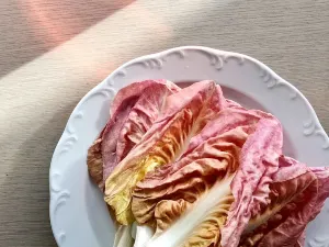Osteria Giulia