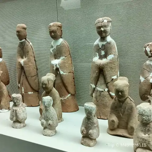 周口市博物館