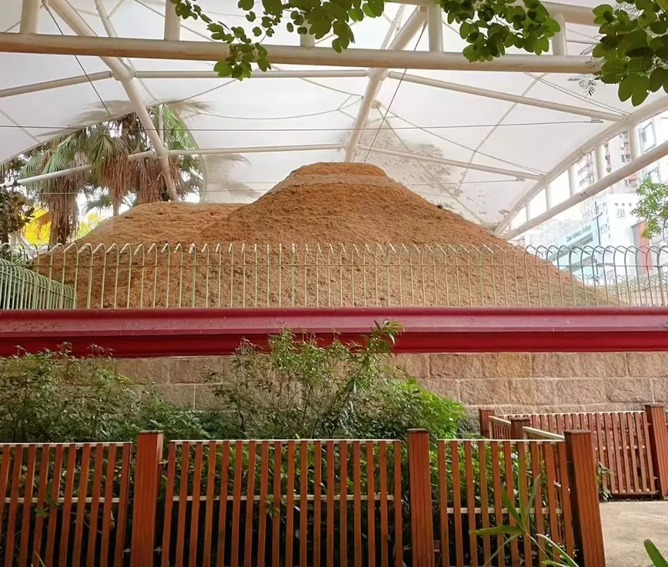 4_Lei Cheng Uk Han Tomb Museum