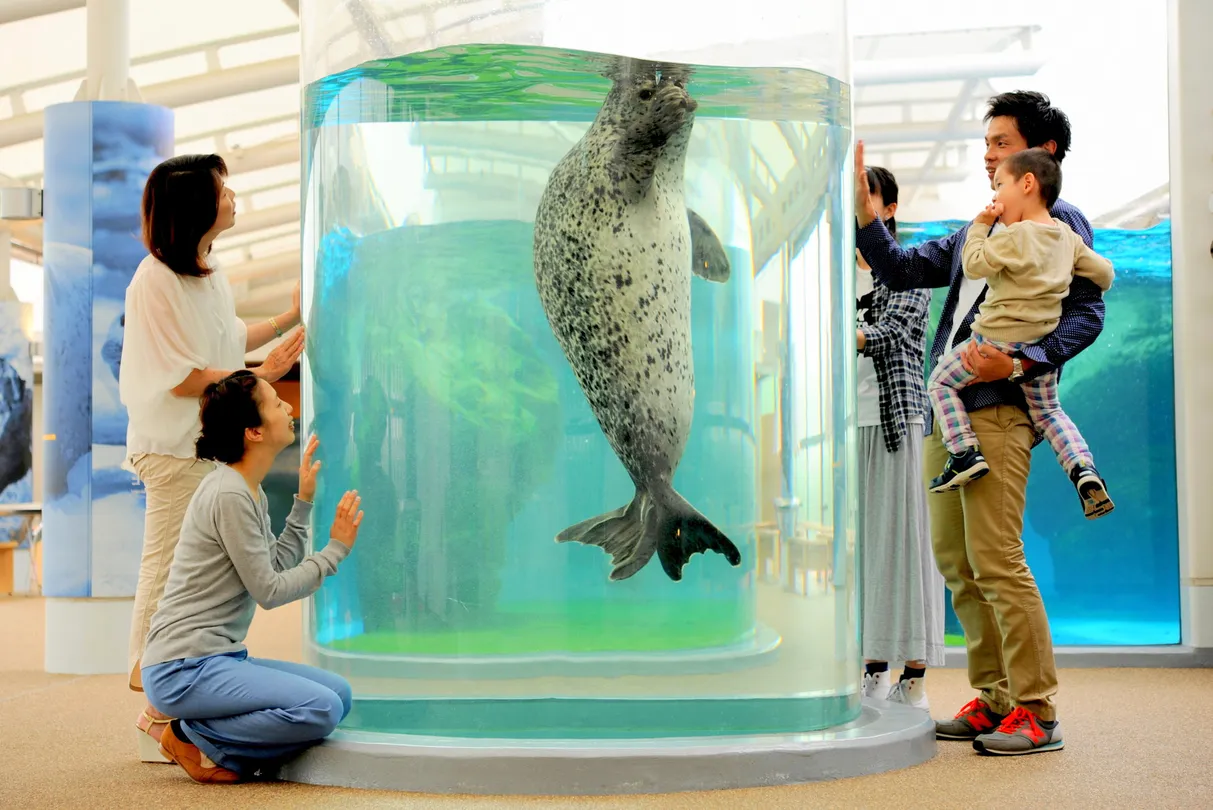4_京都水族館