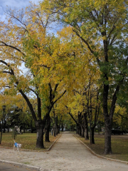 Plaza 19 de Noviembre