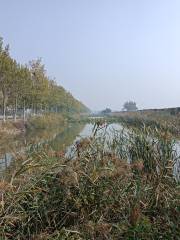 Dahuangpu Wetland Nature Reserve