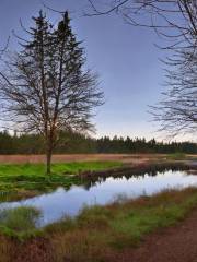 West Hylebos Wetlands Park